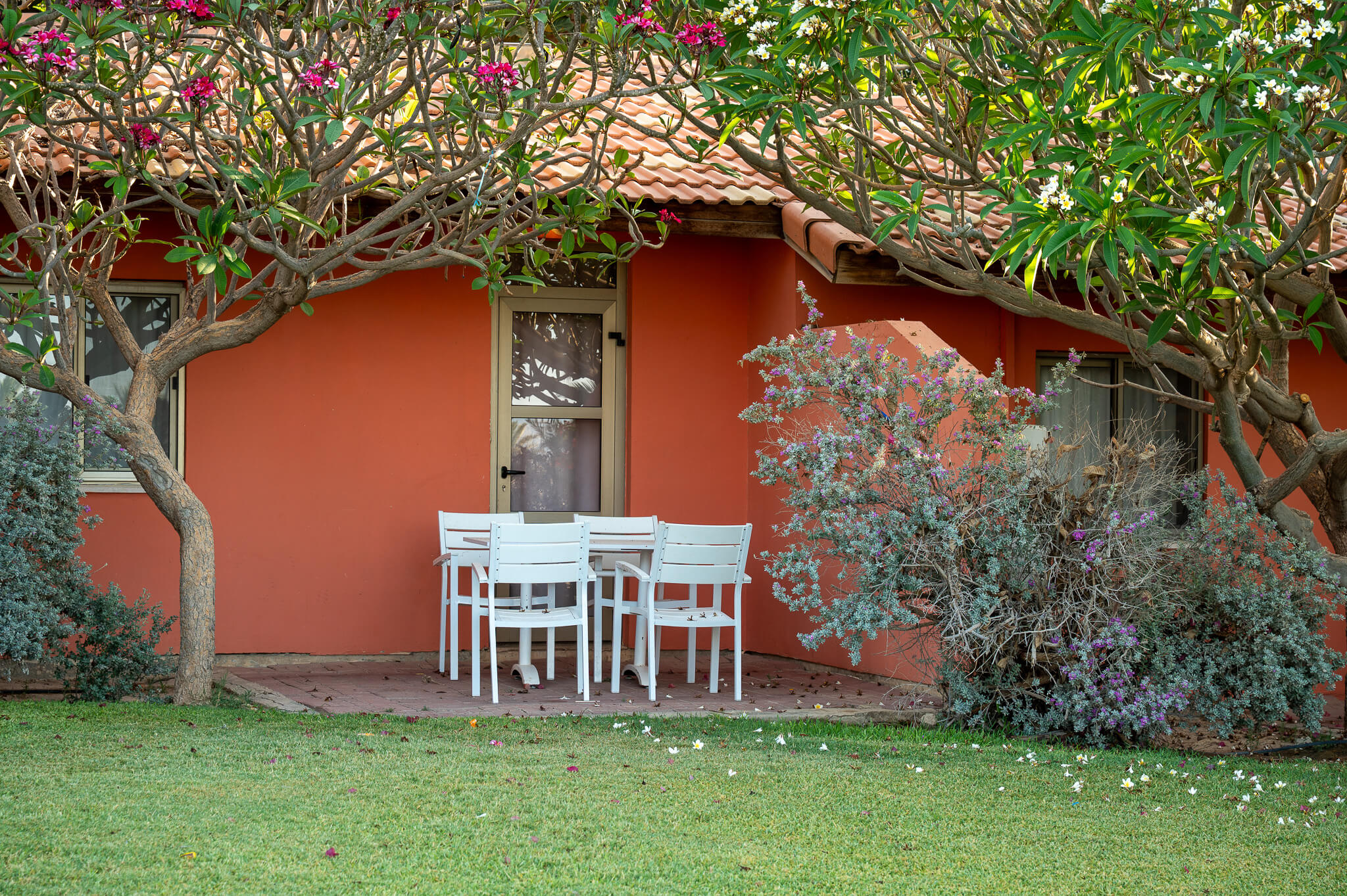 Almog_Exterior_05_web (1)